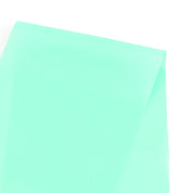 Crisp Poly Lining - Mint