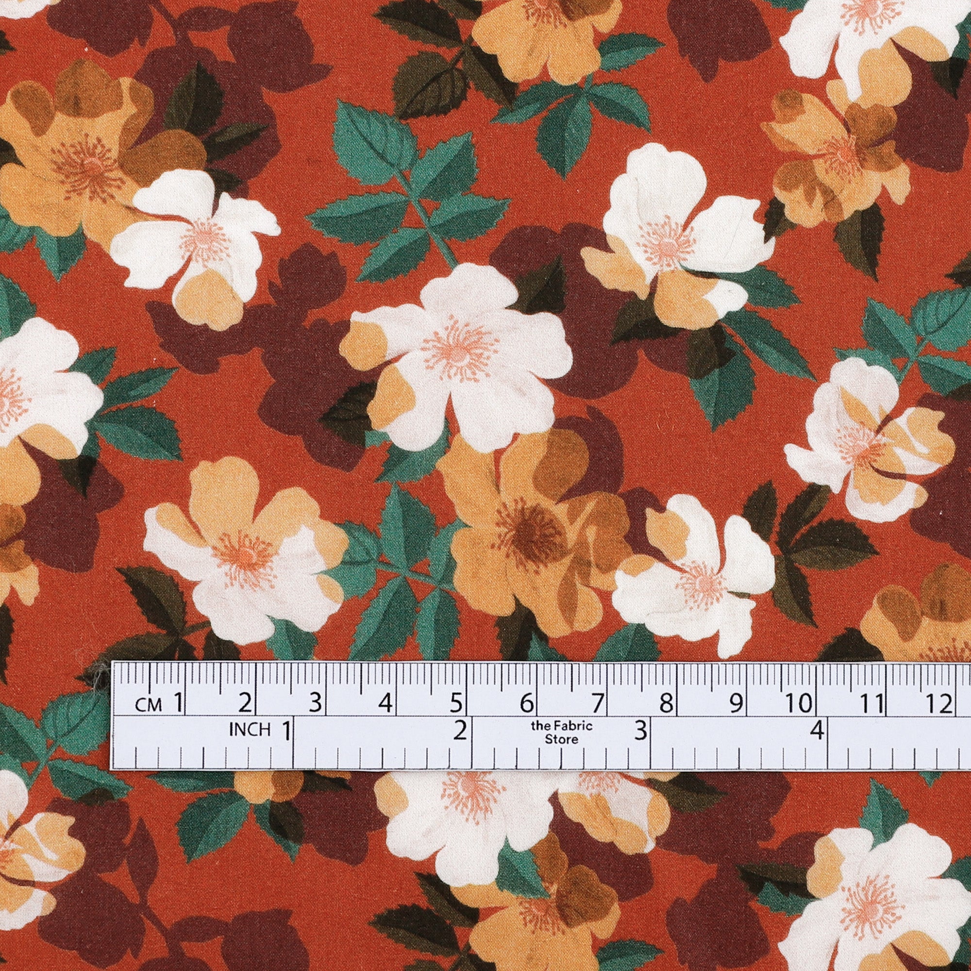 Liberty Tana Lawn - Nysa / C