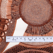 Liberty Tana Lawn - Microscopic Flora / C