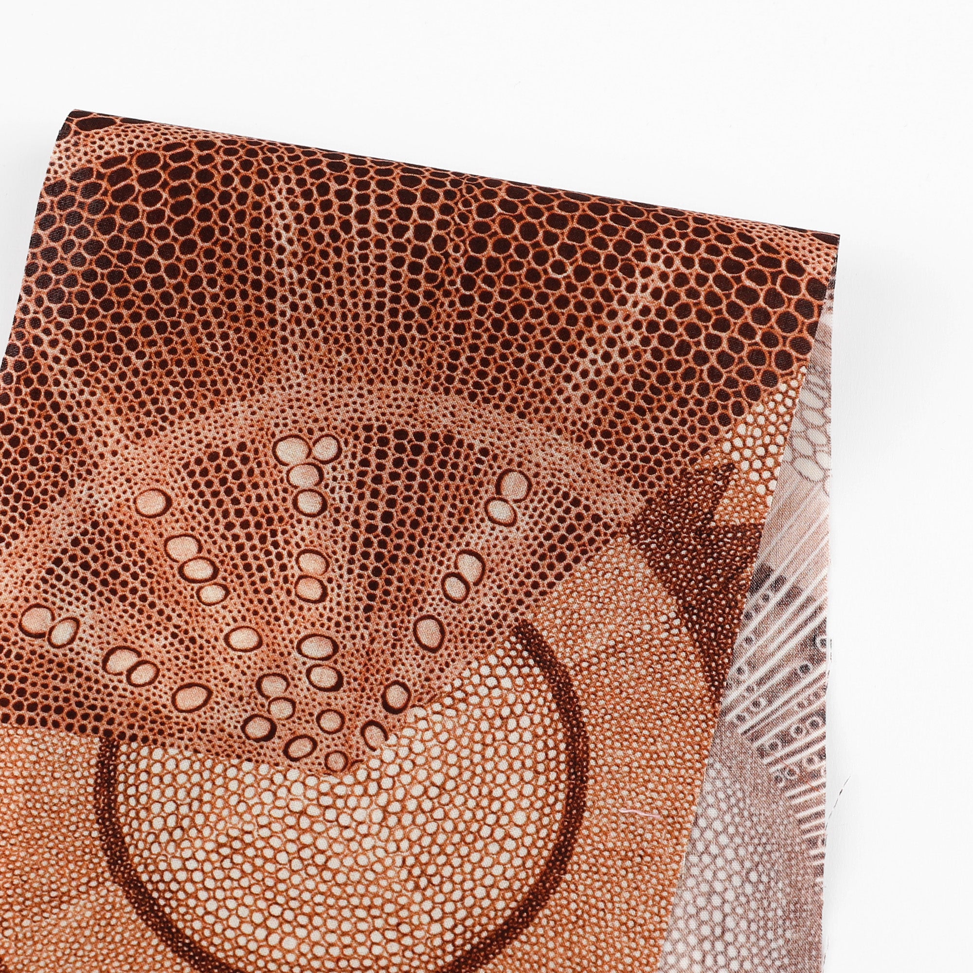 Liberty Tana Lawn - Microscopic Flora / C