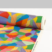 Liberty Tana Lawn - Lines Ballet / A