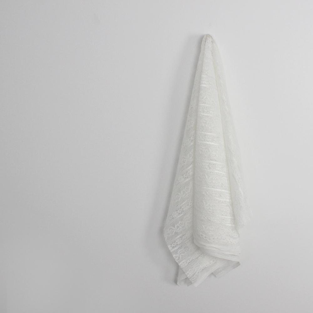 Corded Floral Stripe Lace - White