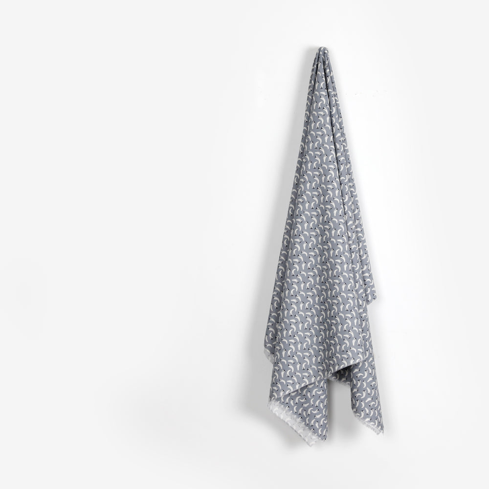 Liberty Piccadilly Poplin - Flying Start / A