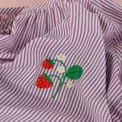 Summer Berries Iron-Ons - Two Sheets