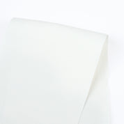 Heavyweight Stretch Cotton / Tencel Twill - Ivory