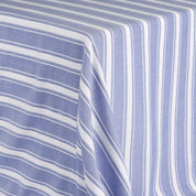 Weft Stripe Cotton - Blue White