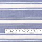 Weft Stripe Cotton - Blue White