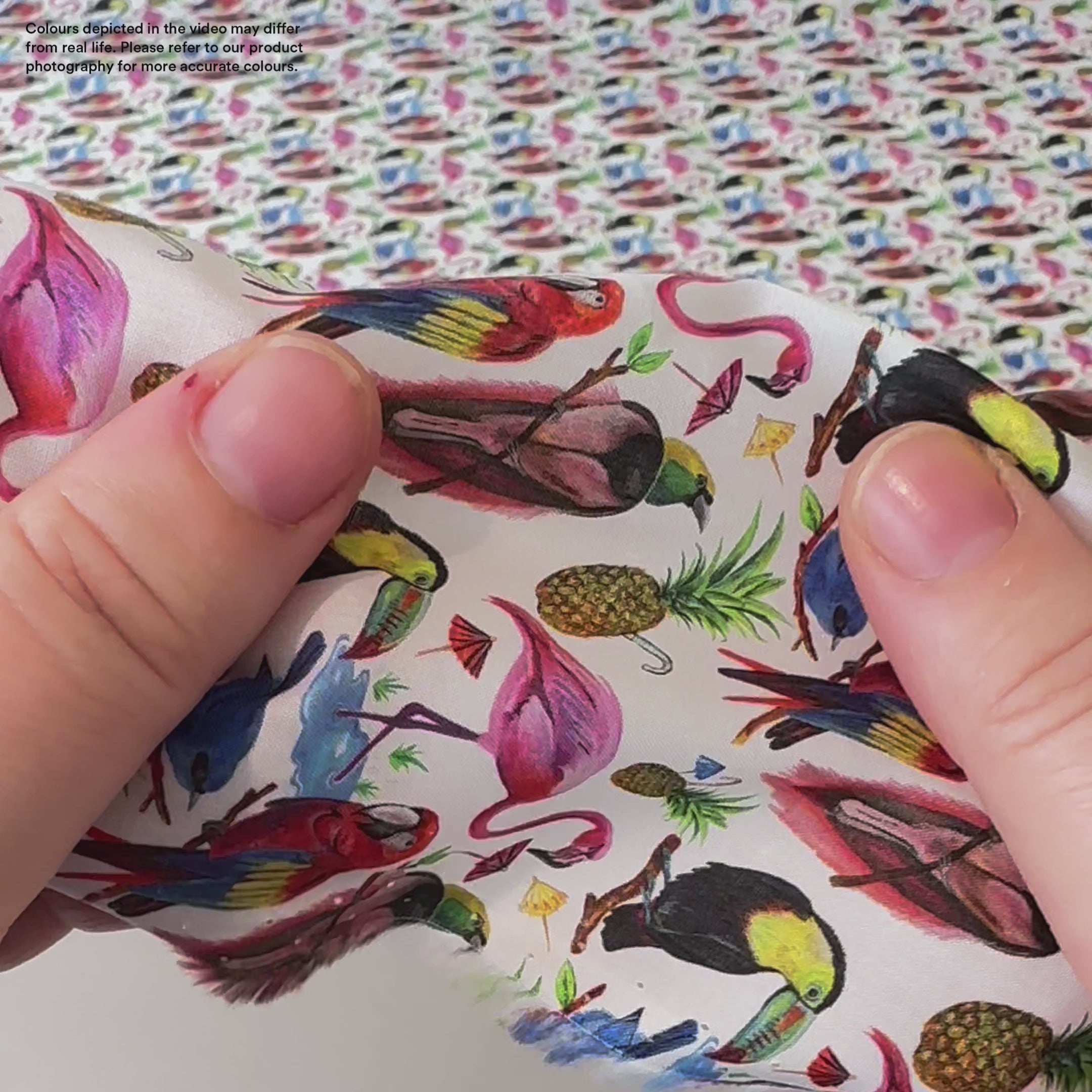 Liberty Tana Lawn - Birds of Paradise/SP