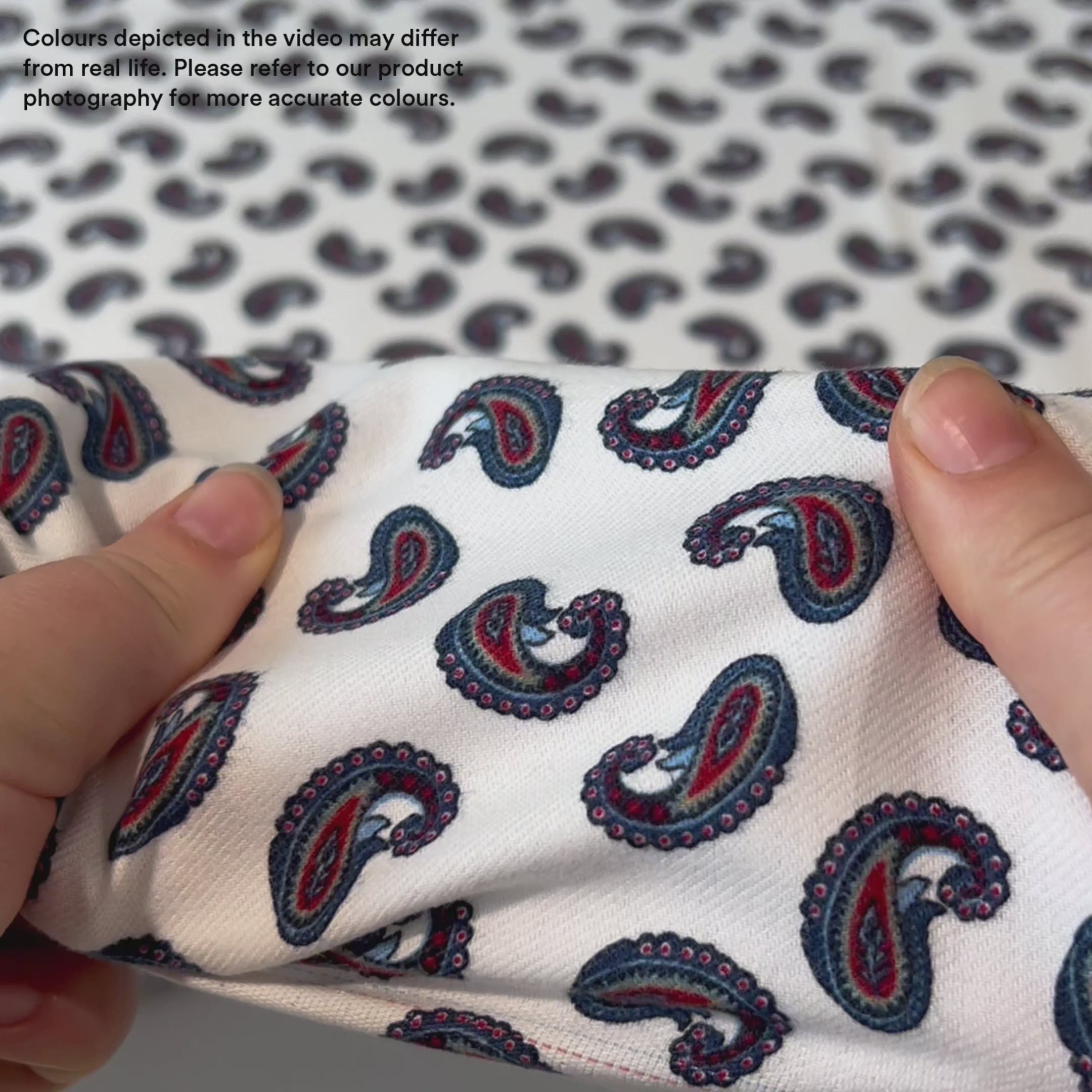 Paisley Brushed Cotton Twill - White